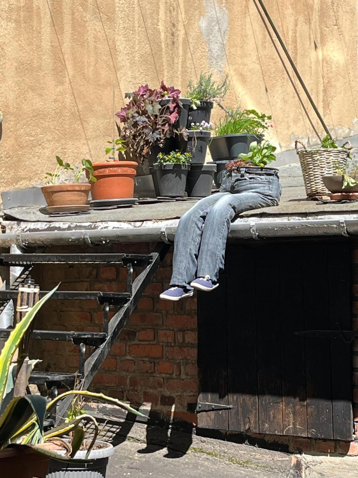 Appartement Hinter Der Alten Post